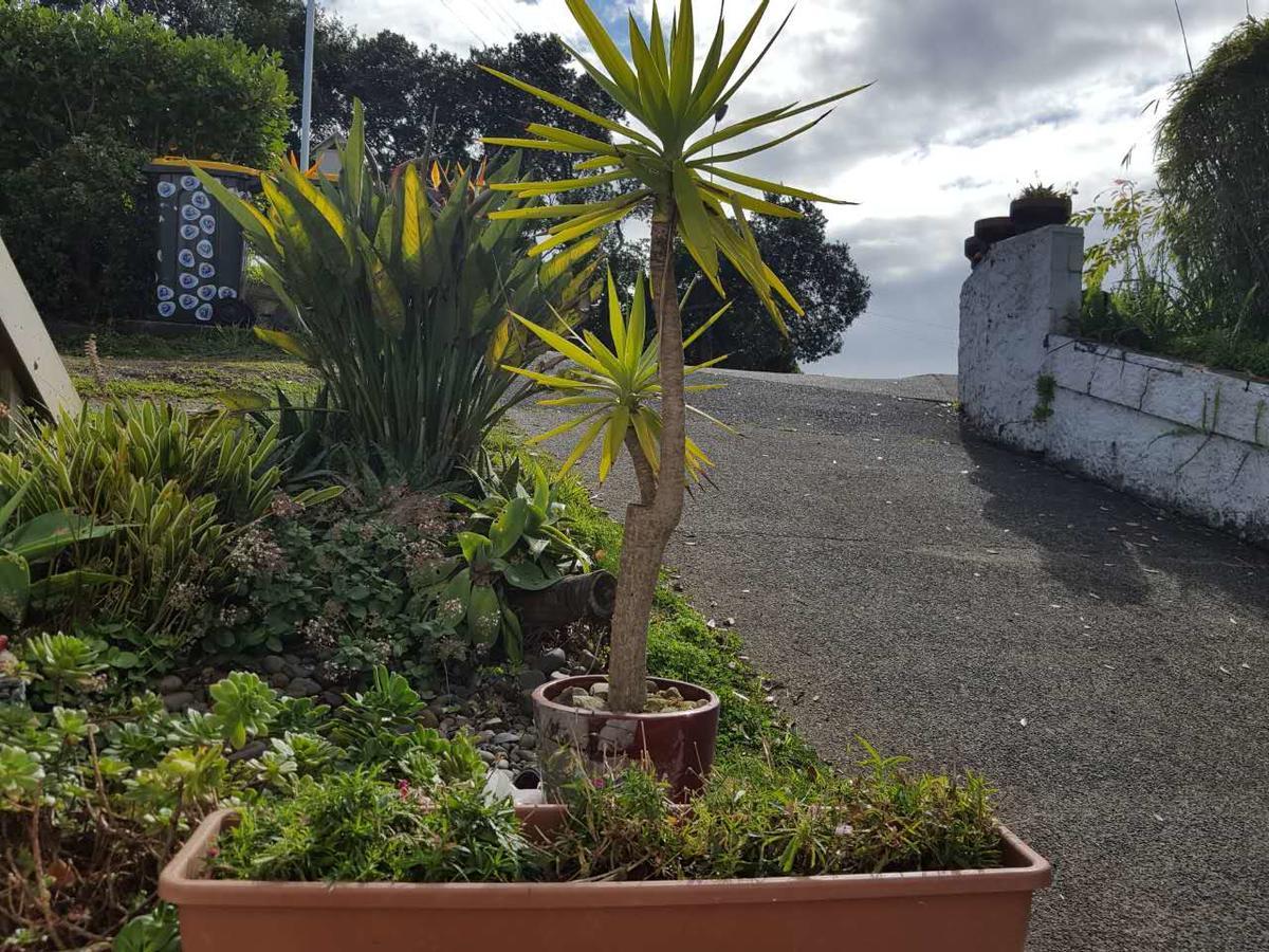 Harbour View Guesthouse Auckland Esterno foto